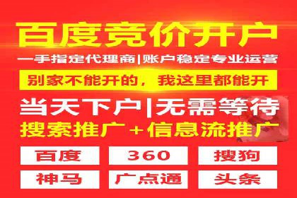 行业领先企业的sem竞价托管代运营策略